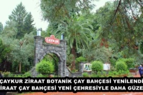 caykur_ziraat_botanik_cay_bahcesi_yenilendi_ziraat_cay_bahcesi_yeni_cehresiyle_daha_guzel_h49030_00304