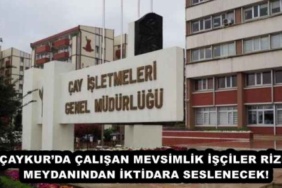 caykurda_calisan_mevsimlik_isciler_rize_meydanindan_iktidara_seslenecek_h45999_53874