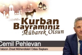 cemil_pehlevan_h47877_2e521