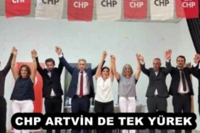 chp_artvin_de_tek_yurek_h54662_b00b1