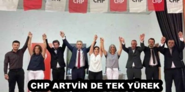 chp_artvin_de_tek_yurek_h54662_b00b1