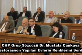 chp_grup_sozcusu_dr_mustafa_cankaya_restorasyon_yapilan_evlerin_renklerini_sordu_h49789_ac2e4