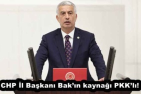 chp_il_baskani_bakin_kaynagi_pkkli_h52465_d21ab