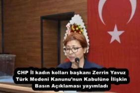 chp_il_kadin_kollari_baskani_zerrin_yavuz_turk_medeni_kanununun_kabulune_iliskin_basin_aciklamasi_yayimladi_h51602_f10d9