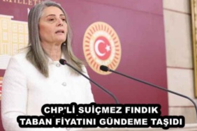chp_li_suicmez_findik_taban_fiyatini_gundeme_tasidi_h48017_4054b