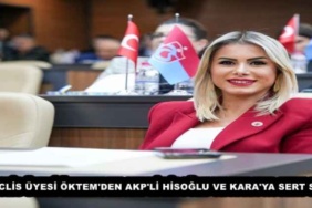 chp_meclis_uyesi_oktem_den_akp_li_hisoglu_ve_kara_ya_sert_sozler_h57649_8f52c