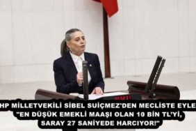 chp_milletvekili_sibel_suicmez_den_mecliste_eylem_en_dusuk_emekli_maasi_olan_10_bin_tlyi_saray_27_saniyede_harciyor_h46173_00492