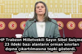 chp_trabzon_milletvekili_sayin_sibel_suicmez_23_ildeki_bazi_alanlarin_orman_sinirlari_disina_cikartilmasina_tepki_gosterdi_h58573_9adba