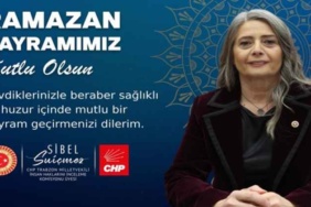 chp_trabzon_milletvekili_sibel_su_icmez_h57602_08b5a