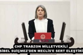 chp_trabzon_milletvekili_sibel_suicmez_den_meclis_e_sert_elestiri_h46156_b5348