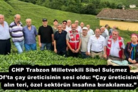 chp_trabzon_milletvekili_sibel_suicmez_ofta_cay_ureticisinin_sesi_oldu_cay_ureticisinin_alin_teri_ozel_sektorun_insafina_birakilamaz_h54187_33543