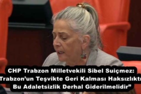 chp_trabzon_milletvekili_sibel_suicmez_trabzonun_tesvikte_geri_kalmasi_haksizliktir_bu_adaletsizlik_derhal_giderilmelidir_h53766_90c9c