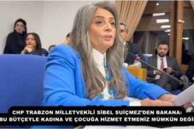 chp_trabzon_milletvekili_sibel_suicmezden_bakana_bu_butceyle_kadina_ve_cocuga_hizmet_etmeniz_mumkun_degil_h55421_45749