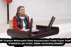 chp_trabzon_milletvekili_sibel_suicmezden_findik_fiyati_tepkisi_findikta_bu_fiyat_emek_saygisizligidir_h54192_ebd08