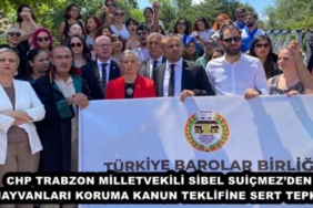 chp_trabzon_milletvekili_sibel_suicmezden_hayvanlari_koruma_kanun_teklifine_sert_tepki_h48237_94671