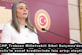 chp_trabzon_milletvekili_sibel_suicmezden_meclis_te_esnaf_kredilerinde_faiz_artisi_elestirisi_h47452_3b4e4