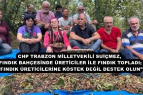 chp_trabzon_milletvekili_suicmez_findik_bahcesinde_ureticiler_ile_findik_topladi_findik_ureticilerine_kostek_degil_destek_olun_h48722_fc4ad