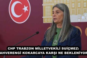 chp_trabzon_milletvekili_suicmez_kahverengi_kokarcaya_karsi_ne_bekleniyor_h49299_dfaec