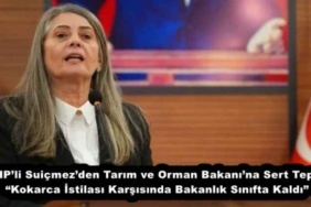 chpli_suicmezden_tarim_ve_orman_bakanina_sert_tepki_kokarca_istilasi_karsisinda_bakanlik_sinifta_kaldi_h54910_b50c0