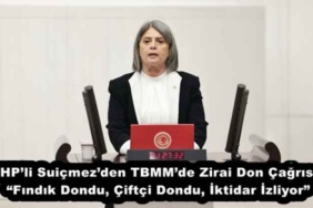 chpli_suicmezden_tbmmde_zirai_don_cagrisi_findik_dondu_ciftci_dondu_iktidar_izliyor_h52594_6e398