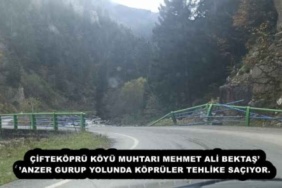 ciftekopru_koyu_muhtari_mehmet_ali_bektasanzer_gurup_yolunda_kopruler_tehlike_saciyor_h55376_8c64e