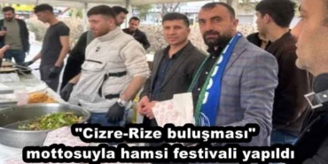 cizre_rize_bulusmasimottosuyla_hamsi_festivali_yapildi_h45903_96f72