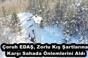 coruh_edas_zorlu_kis_sartlarina_karsi_sahada_onlemlerini_aldi_h55536_55c8d