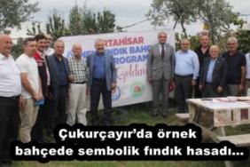 cukurcayirda_ornek_bahcede_sembolik_findik_hasadi_h54376_5b0f1