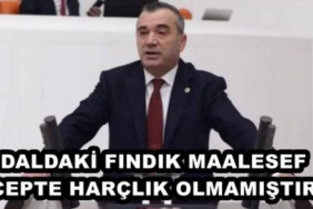 daldaki_findik_maalesef_cepte_harclik_olmamistir_h48456_b2fdc