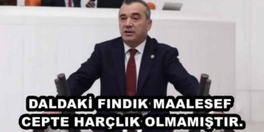 daldaki_findik_maalesef_cepte_harclik_olmamistir_h48456_b2fdc