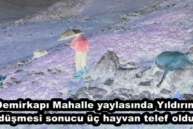 demirkapi_mahalle_yaylasinda_yildirim_dusmesi_sonucu_uc_hayvan_telef_oldu_h48914_ab413