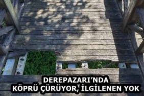derepazarinda_kopru_curuyor_ilgilenen_yok_h59201_e3d9b