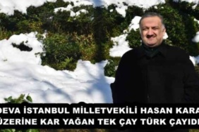 deva_istanbul_milletvekili_hasan_karaluzerine_kar_yagan_tek_cay_turk_cayidir_h56325_56f0b