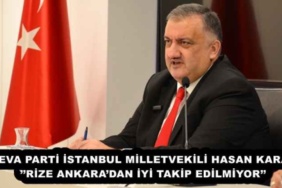 deva_parti_istanbul_milletvekili_hasan_karalrize_ankaradan_iyi_takip_edilmiyor_h52441_66d8b