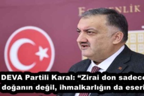 deva_partili_karal_zirai_don_sadece_doganin_degil_ihmalkarligin_da_eseri_h52559_8921e
