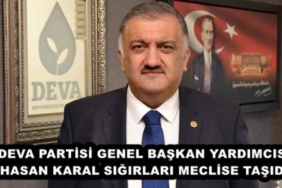 deva_partisi_genel_baskan_yardimcisi_hasan_karal_sigirlari_meclise_tasidi_h45987_54a8a