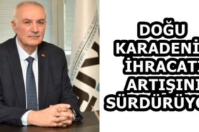 dogu_karadeniz_ihracati_artisini_surduruyor_h59500_5dbc3