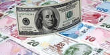 dolar-neden-dusuyor-11278644_2595_o