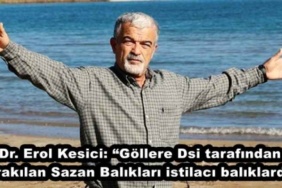 dr_erol_kesici_gollere_dsi_tarafindan_birakilan_sazan_baliklari_istilaci_baliklardir_h50081_c8445