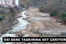 dsi_dere_taskinina_set_cekiyor_h56466_a4f04