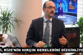 dsi_rizenin_hircin_derelerini_dizginliyor_h46452_167c1