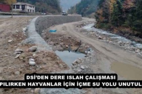 dsiden_dere_islah_calismasi_yapilirken_hayvanlar_icin_icme_su_yolu_unutuldu_h50146_e71ae