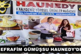 efrafim_gumussu_haunedyde_h52599_06e46