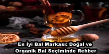 en_iyi_bal_markasi_dogal_ve_organik_bal_seciminde_rehber_h49243_335ac