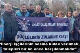 enerji_iscilerinin_sesine_kulak_verilmeli_talepleri_bir_an_once_karsilanmalidir_h51846_8f9f4