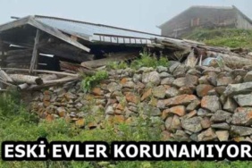 eski_evler_korunamiyor_h58845_da3c0