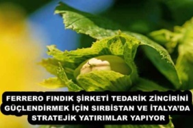 ferrero_findik_sirketi_tedarik_zincirini_guclendirmek_icin_sirbistan_ve_italyada_stratejik_yatirimlar_yapiyor_h55228_6fb7d