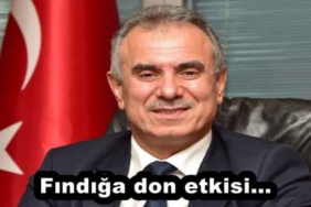 findiga_don_etkisi_h52632_a6105