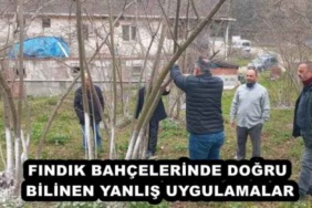 findik_bahcelerinde_dogru_bilinen_yanlis_uygulamalar_h46363_ad3dd