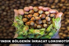 findik_bolgenin_ihracat_lokomotifi_h52876_98da5